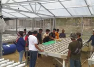 Pemerintah Desa Gorontalo Dampingi Kelompok Budidaya Sayur Hidroponik